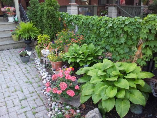A Hidden Gem Bed And Breakfast 윈저 외부 사진